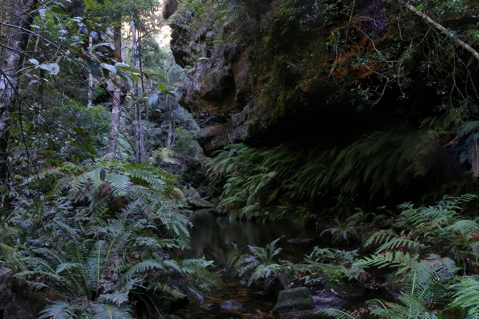 Blue Mountains Tickets: Warum Instandhaltung ihren Preis hat
