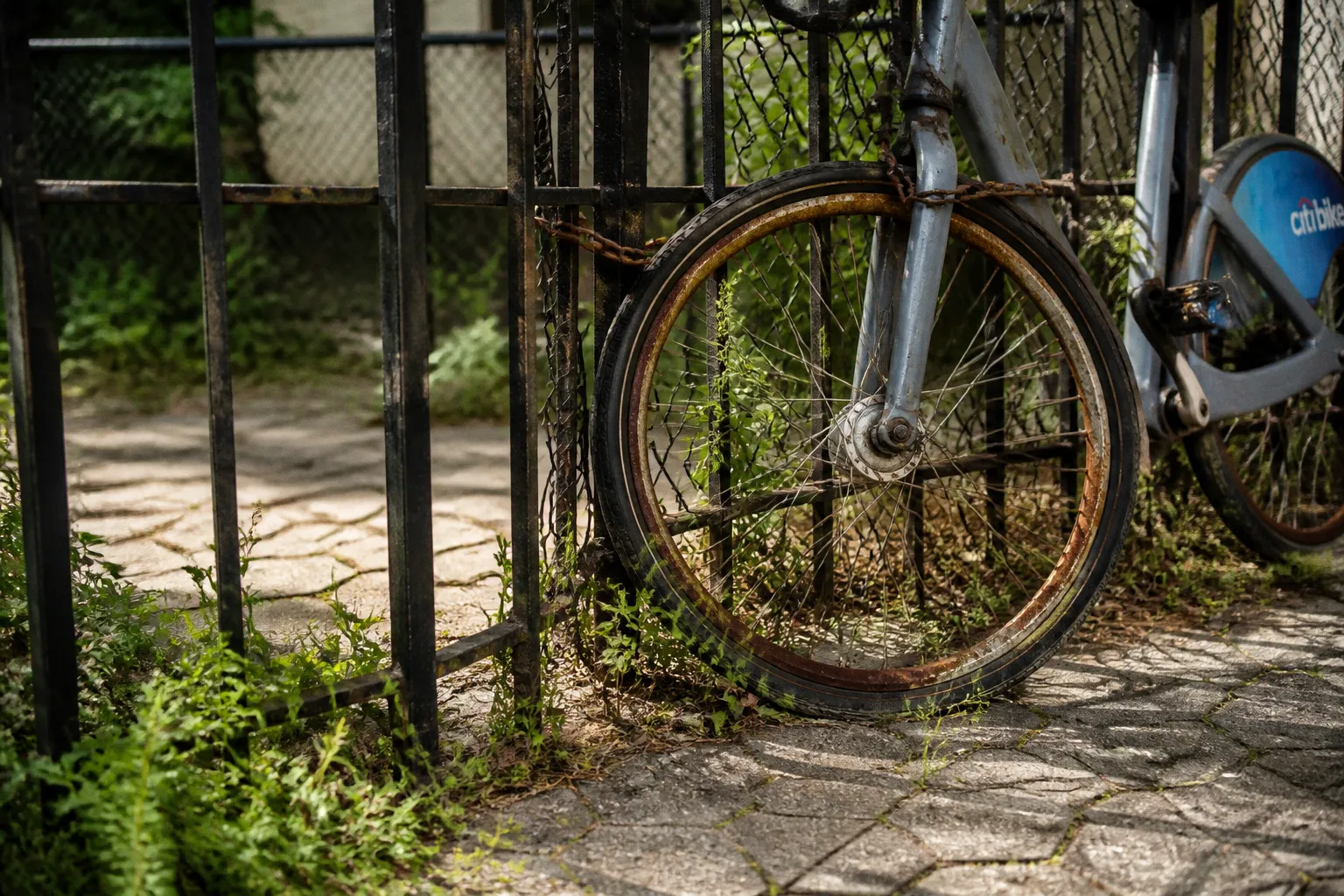 Fahrradverleih in New York: Preise, Kaution und meine Fehler