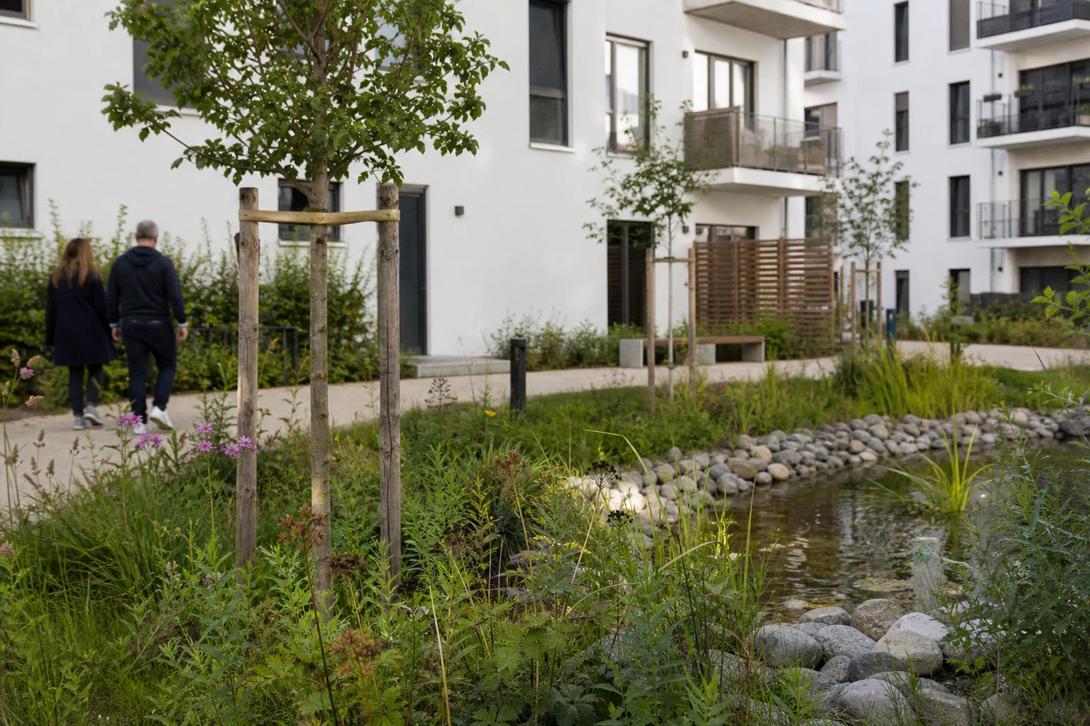 Klimaresiliente Außenanlagen: So nutzen Wohnungsunternehmen die neue Bundesförderung