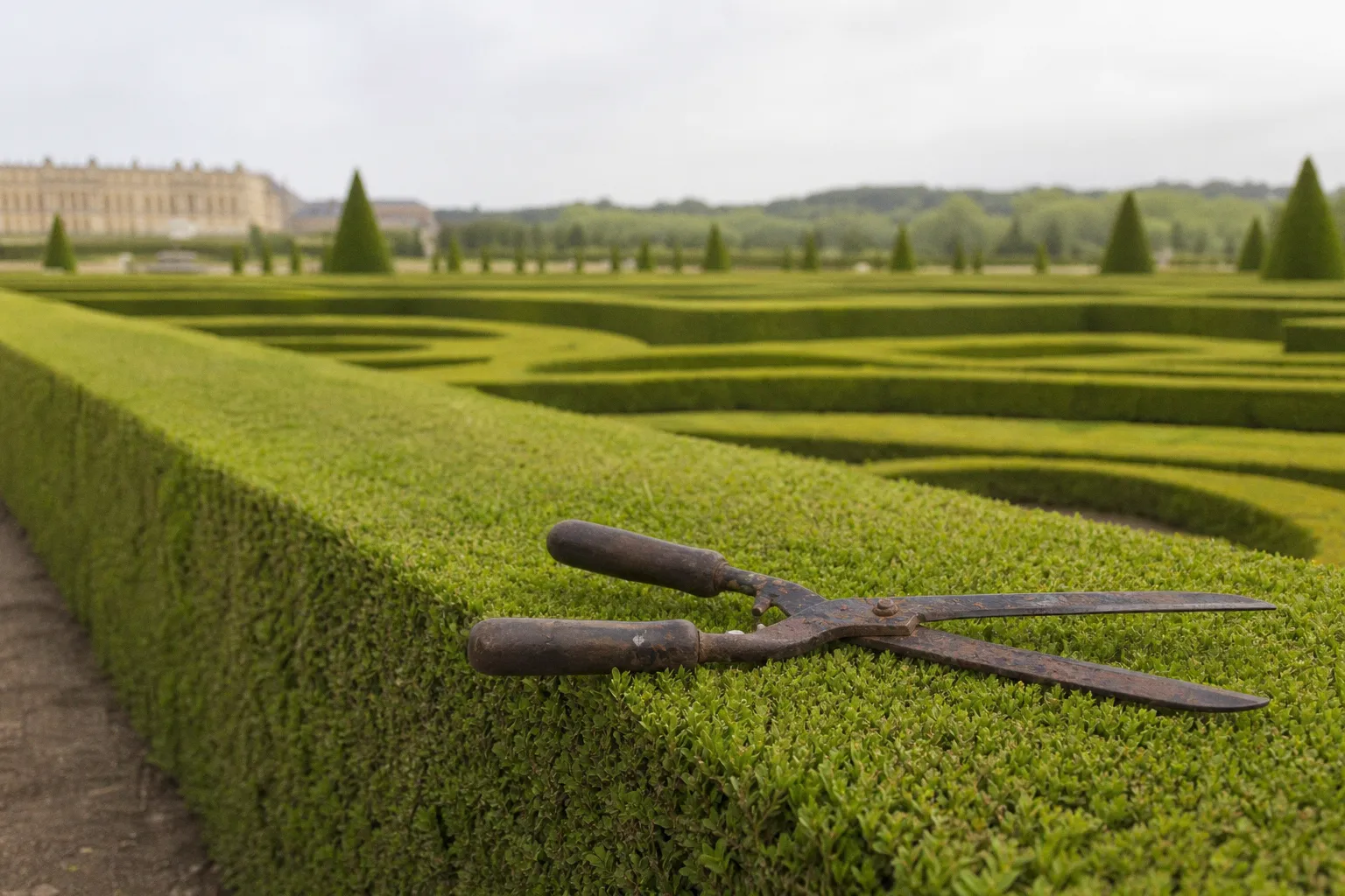 Tagesausflüge nach Versailles ab Paris Tickets: Warum der Park gewinnt