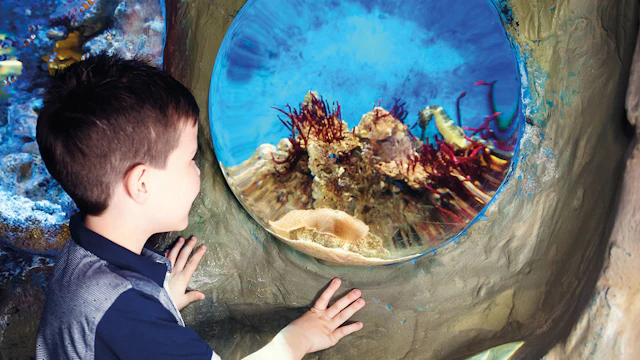 SEA LIFE Blackpool