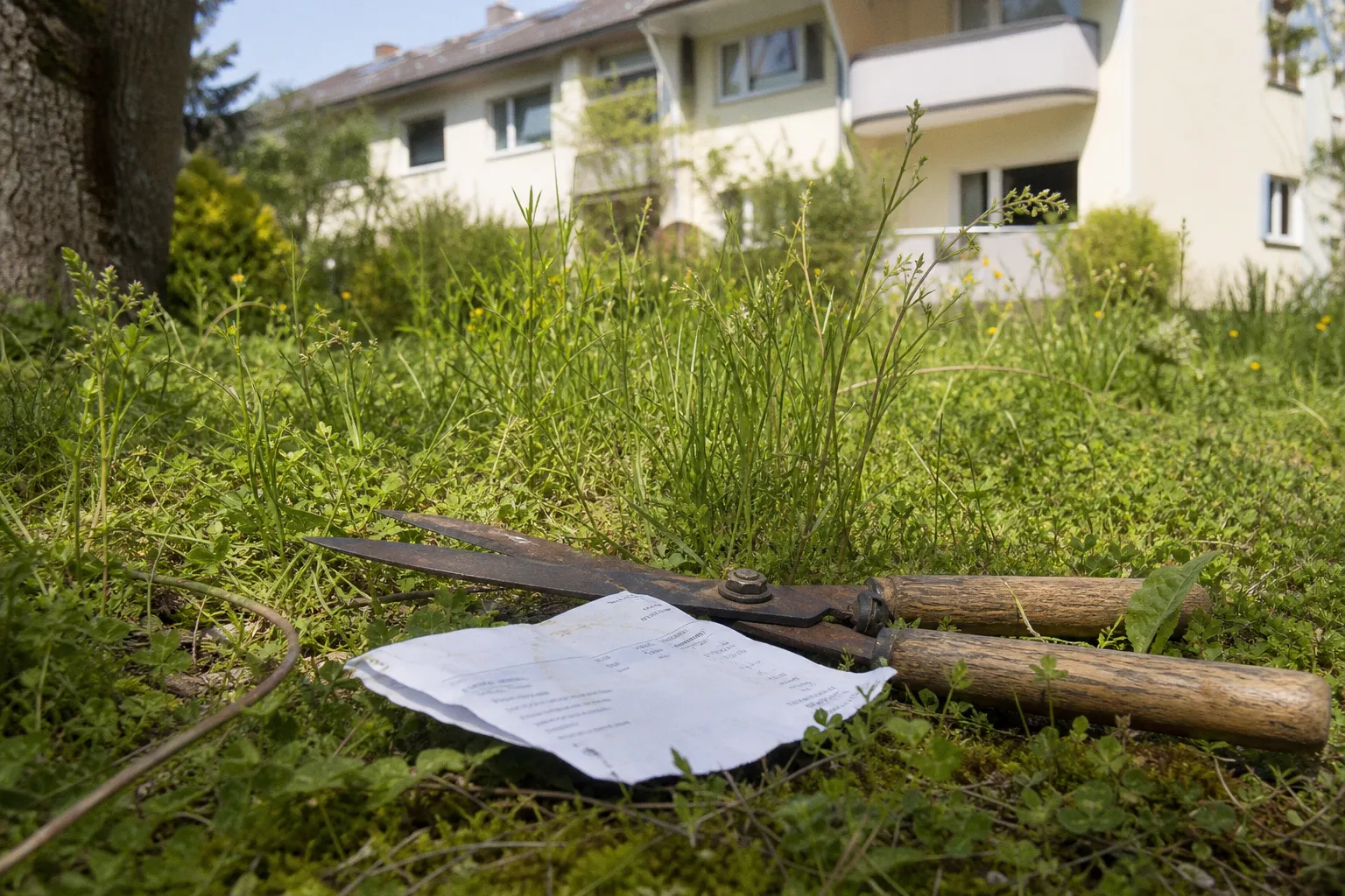 Überhöhte Nebenkosten bei Gartenpflege: Ein Praxisbeispiel