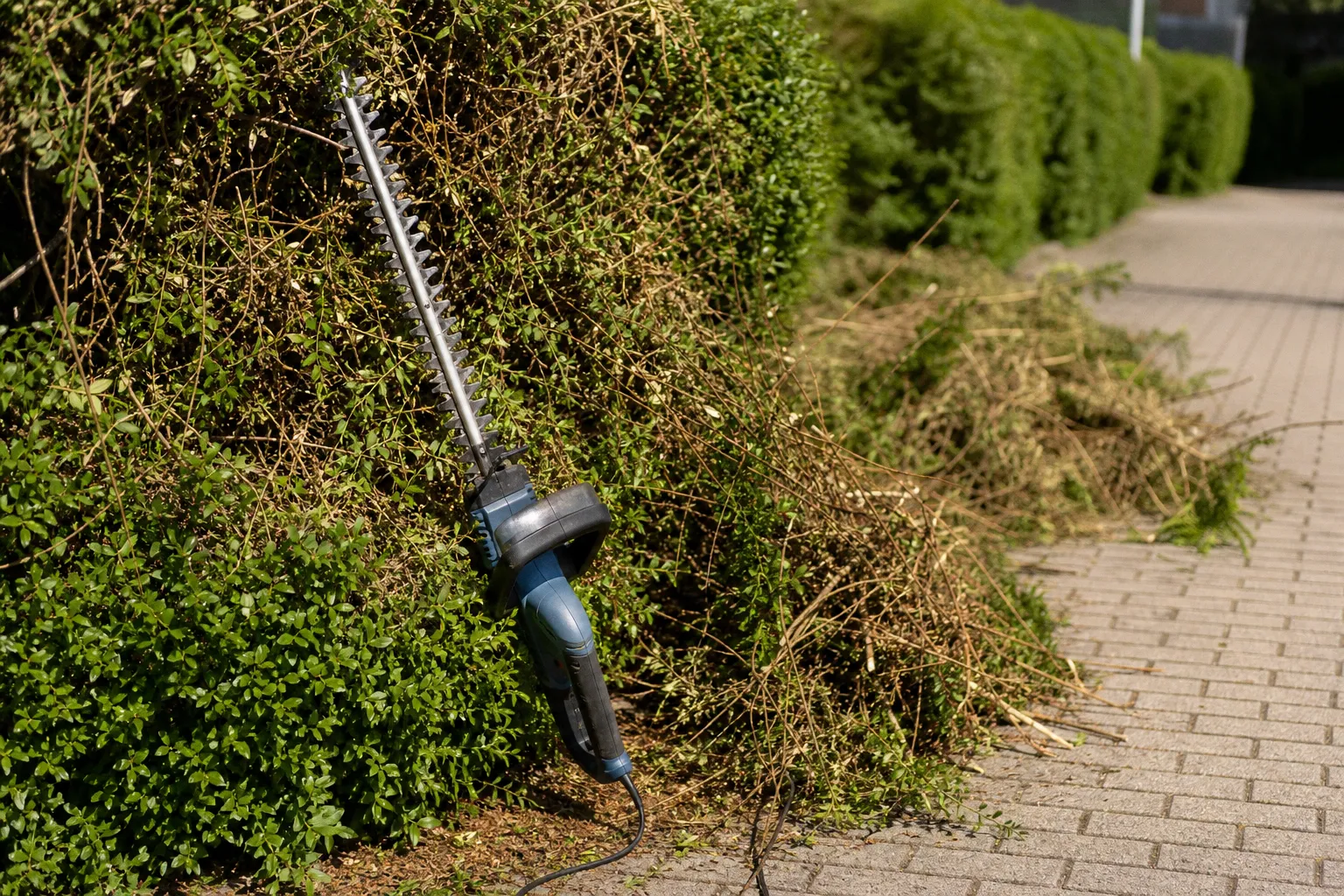 Urteile zu Nebenkosten der Gartenpflege: Ein teurer Irrtum